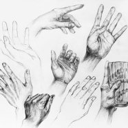 Dłonie - jako wstęp do anatomii.